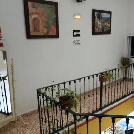 Hostal El Rincon De Carlota-3
